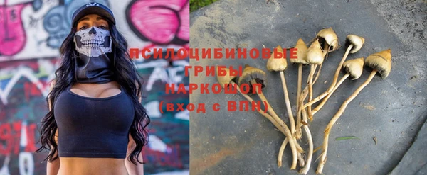 spice Няндома