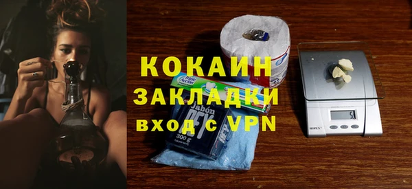 винт Новозыбков