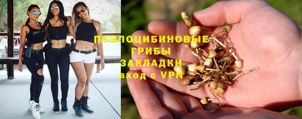 мяу мяу мука Новодвинск
